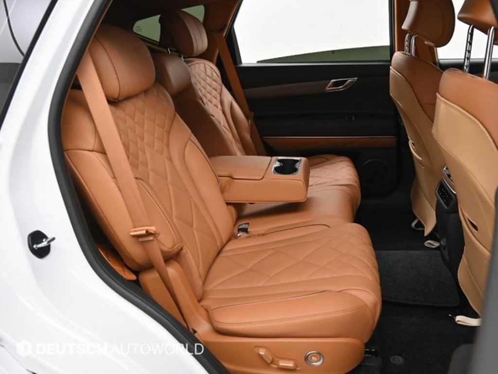 Genesis GV80 - Vista 12