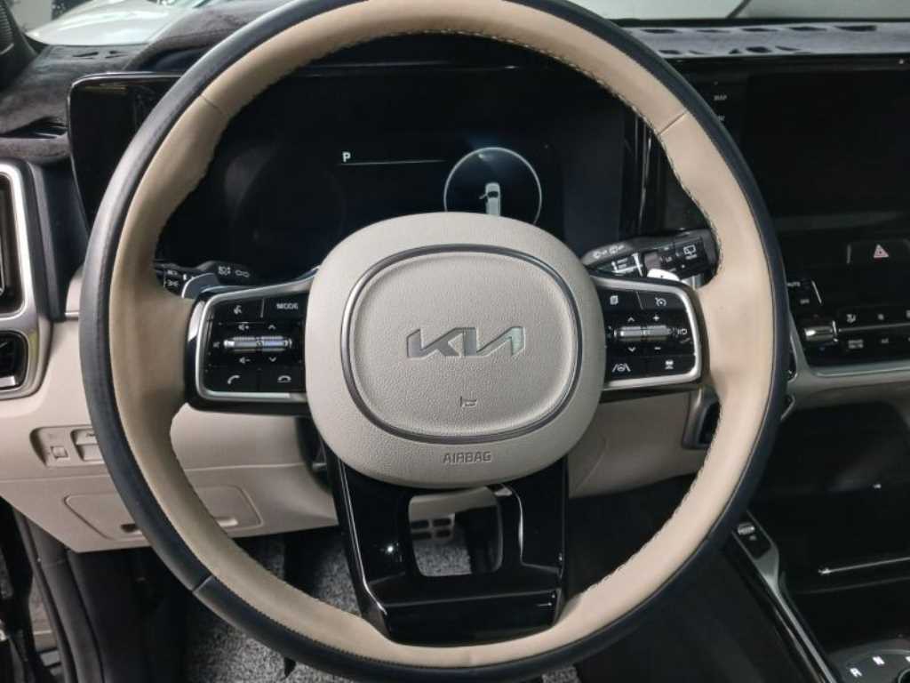 KIA Sorento - Vista 11