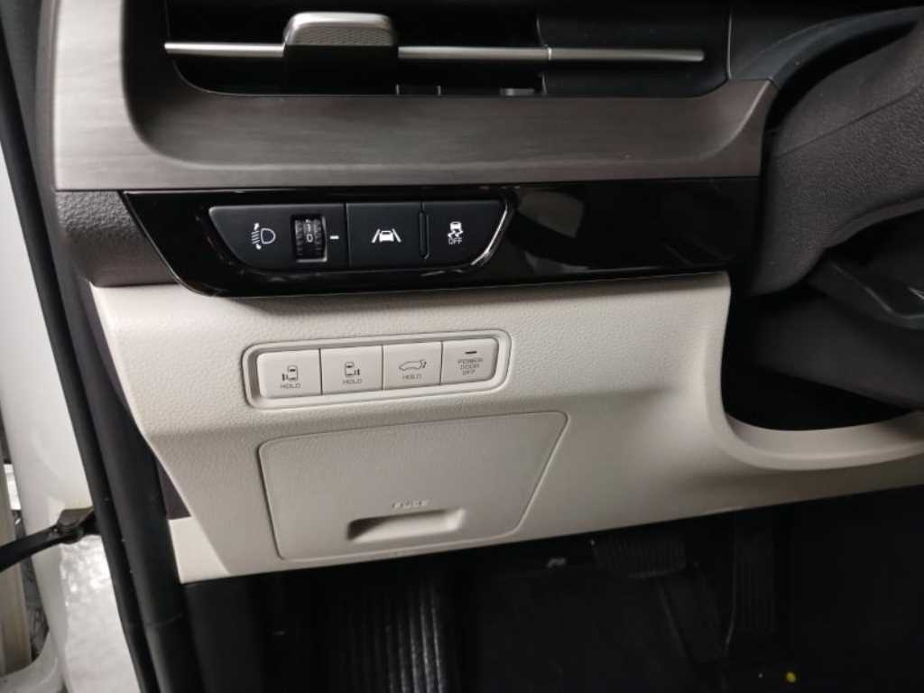 KIA Carnival - Vista 12