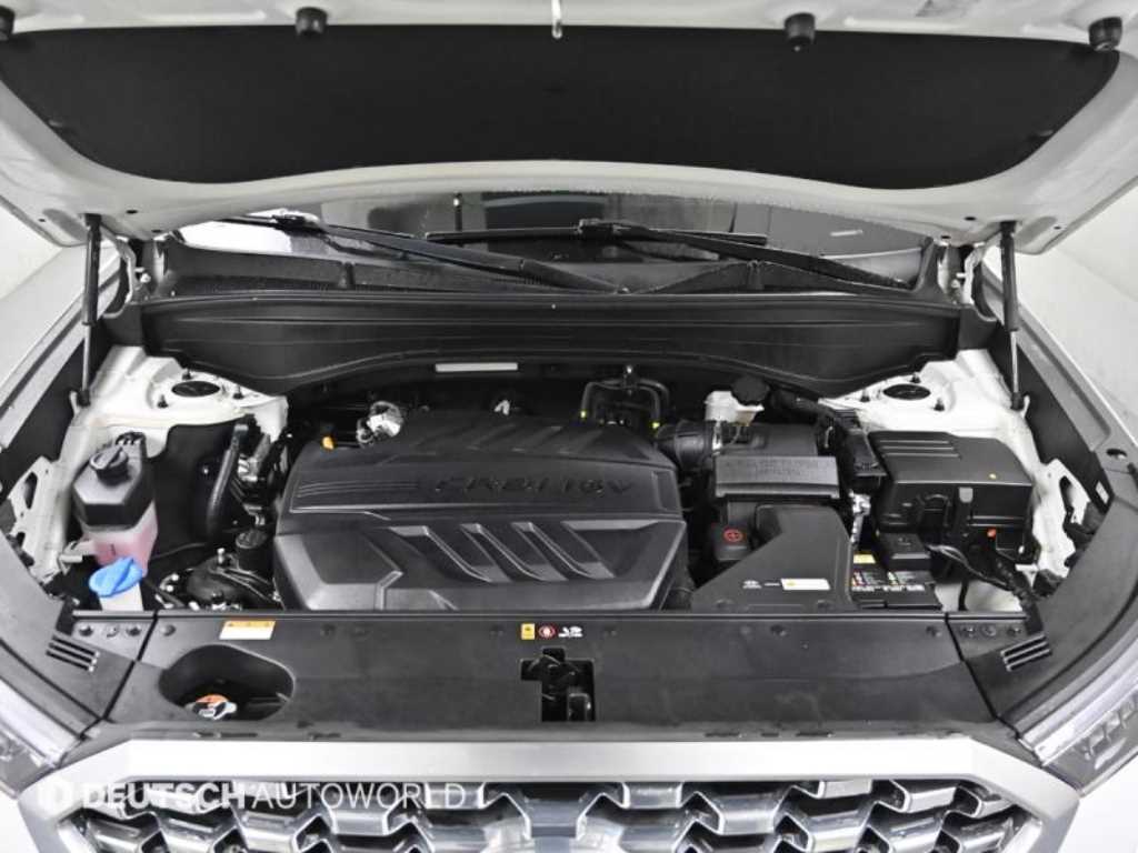 HYUNDAI Palisade - Vista 6