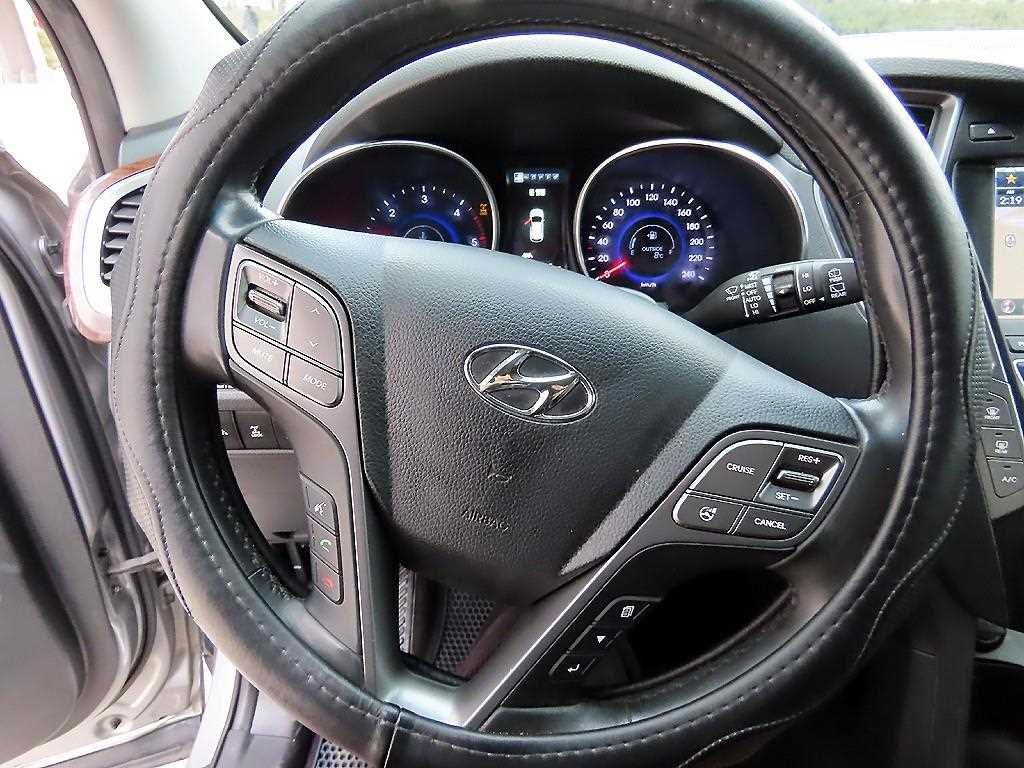 HYUNDAI Maxcruz - Vista 8
