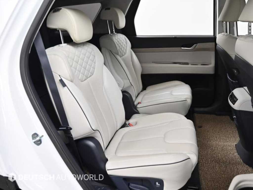 HYUNDAI Palisade - Vista 12