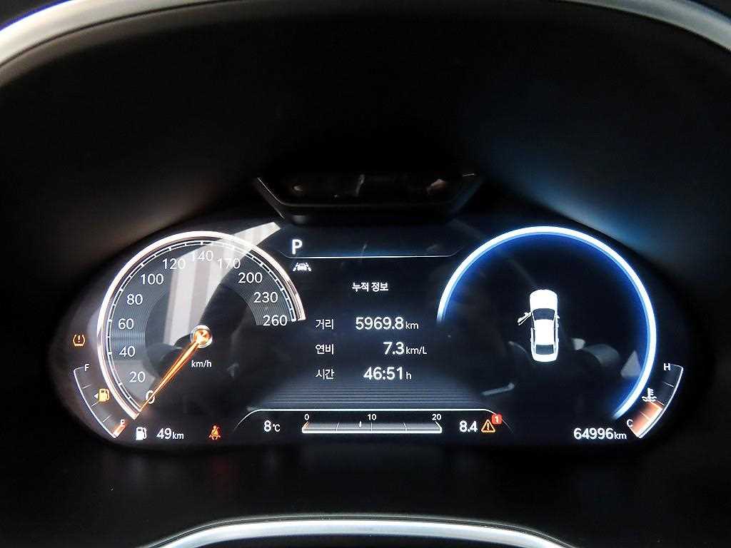 Genesis G80 - Vista 9