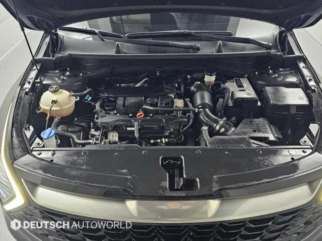 KIA Sportage - Vista 6