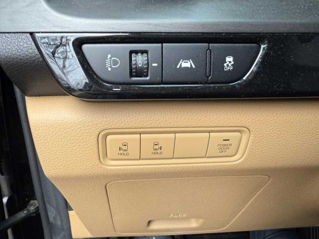 KIA Carnival - Vista 9