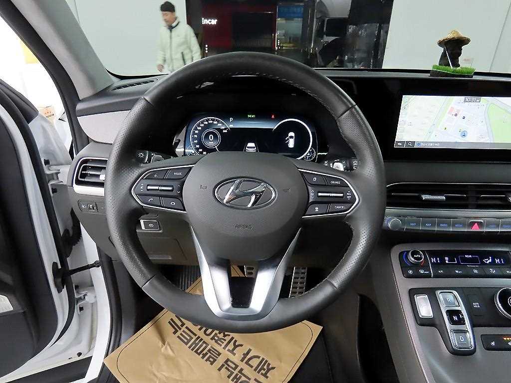 HYUNDAI Palisade - Vista 9
