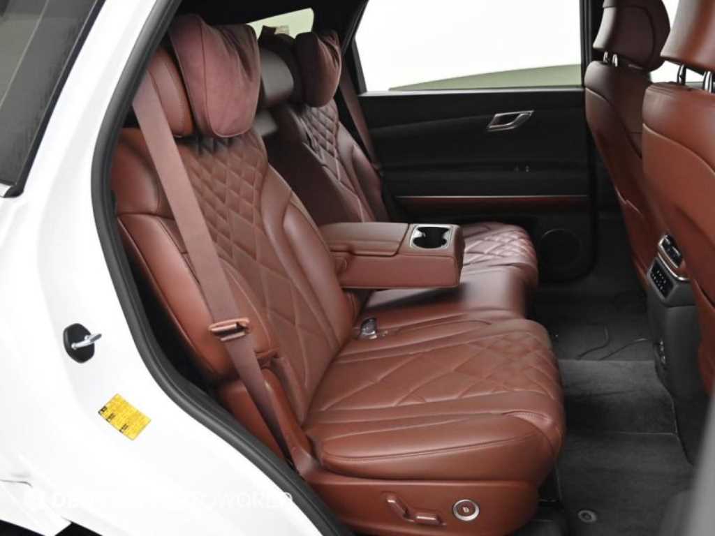 Genesis GV80 - Vista 12