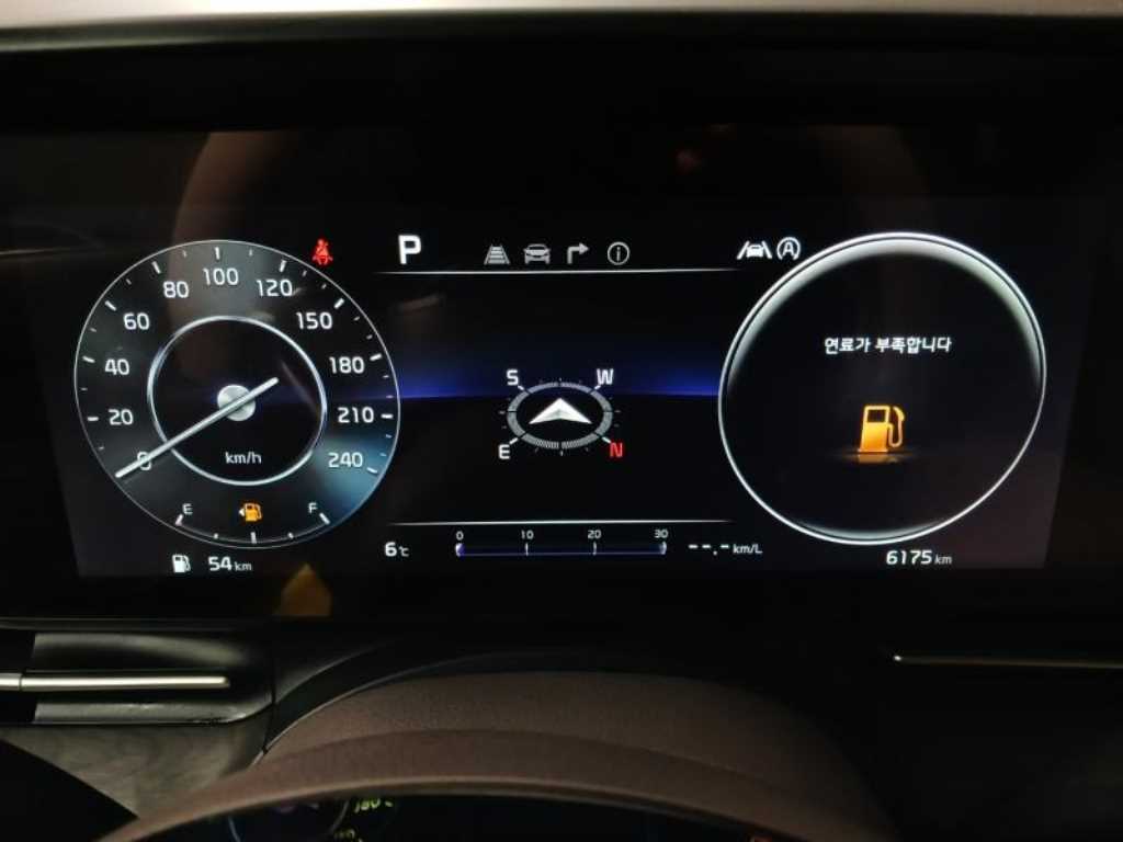 KIA Carnival - Vista 10