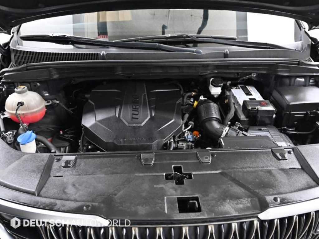 KIA Carnival - Vista 6