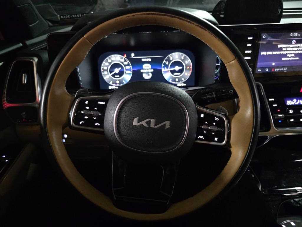 KIA Sorento - Vista 12