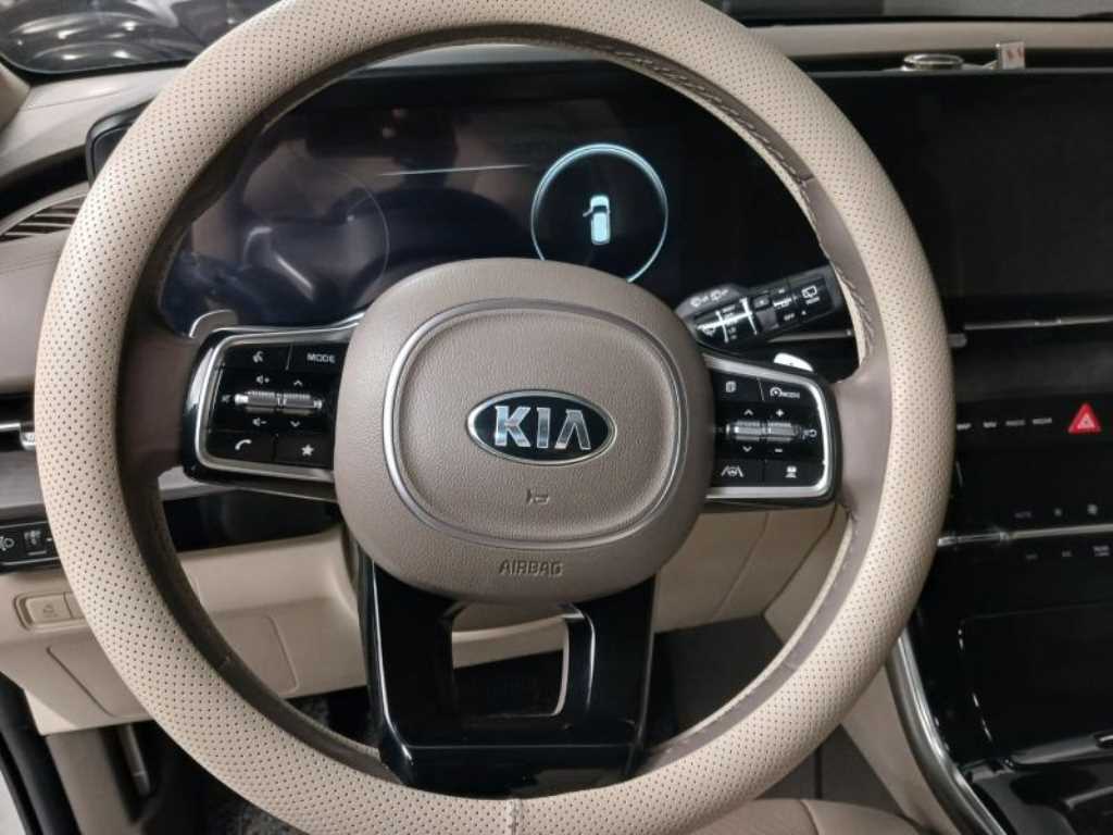 KIA Carnival - Vista 11