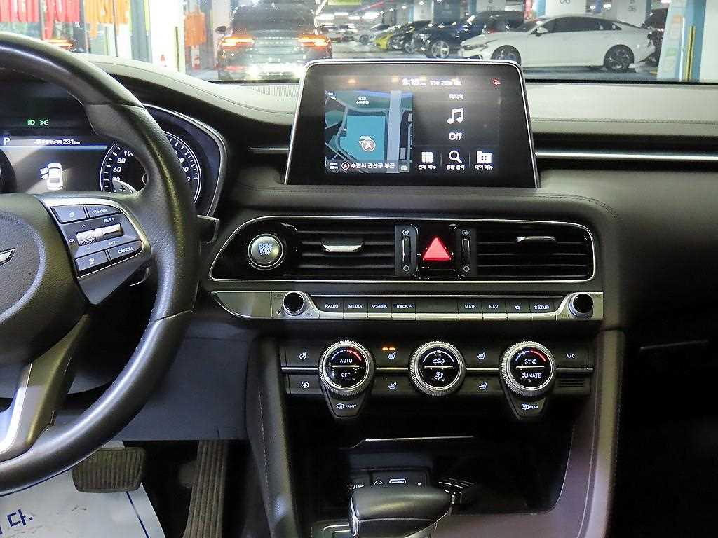 Genesis G70 - Vista 11