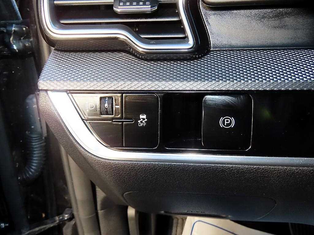 KIA Sportage - Vista 12