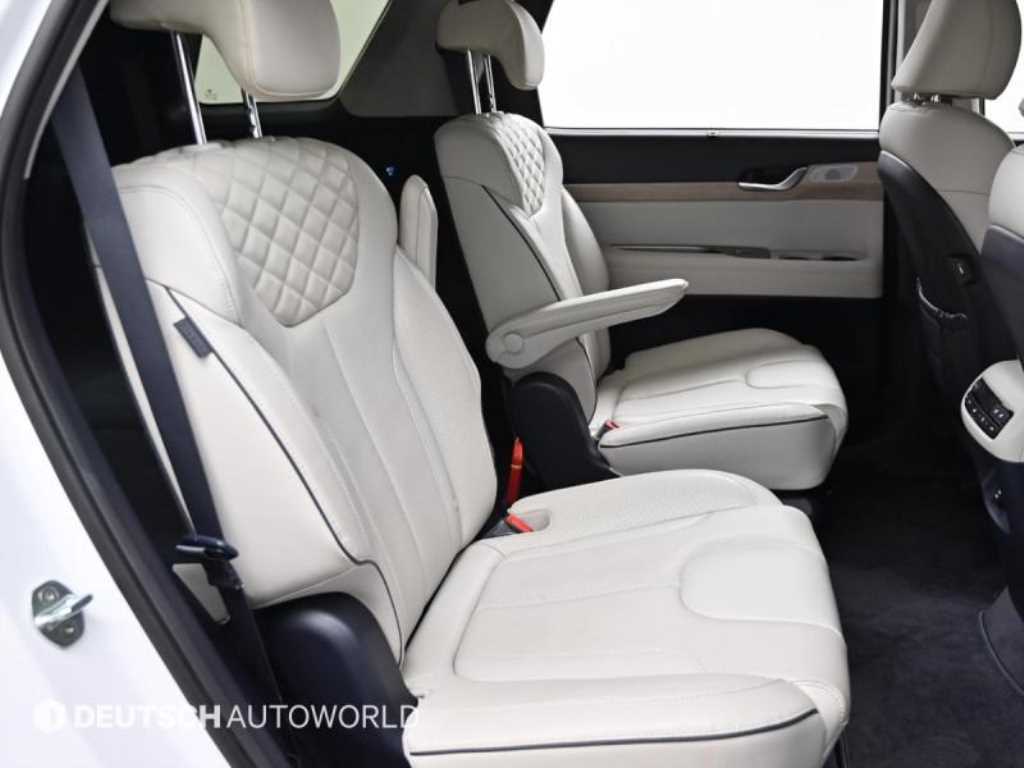 HYUNDAI Palisade - Vista 12