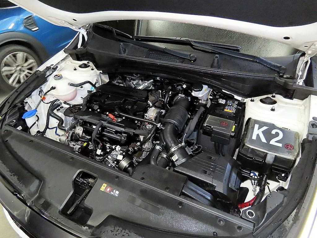 KIA Sportage 2022 - Importación desde Corea - HF Imports Iquique - Foto 19