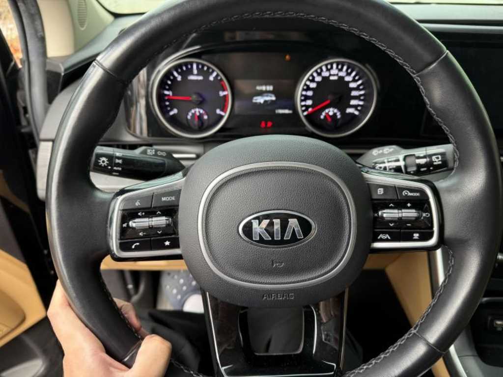 KIA Carnival - Vista 4