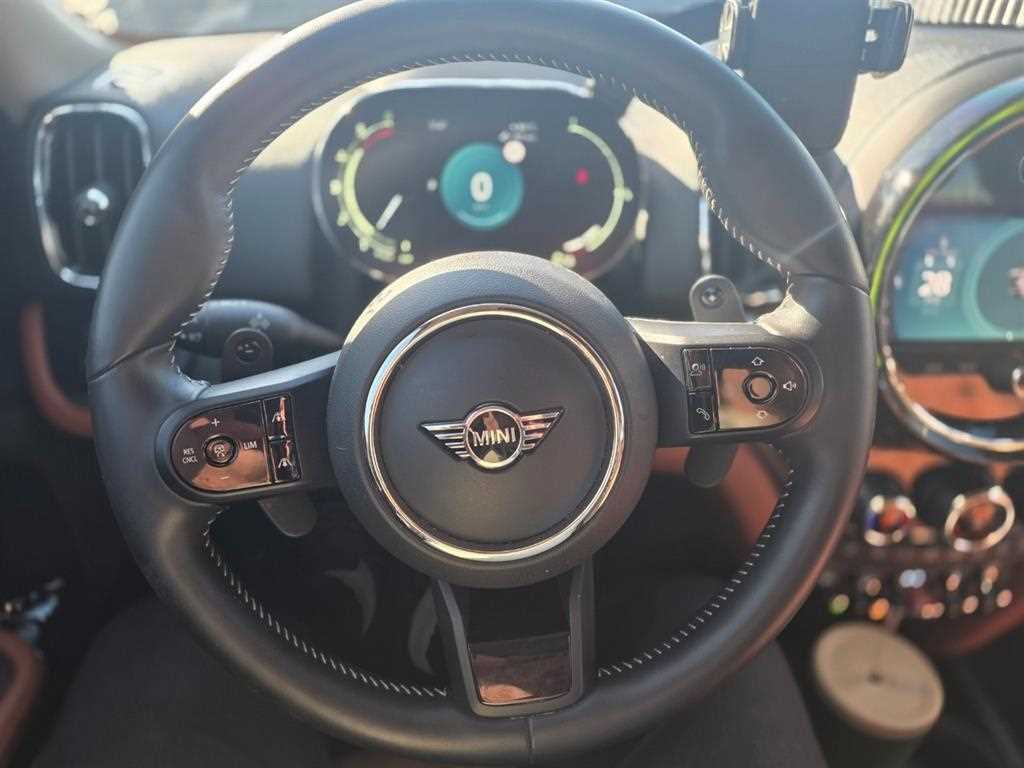 Mini Countryman - Vista 5