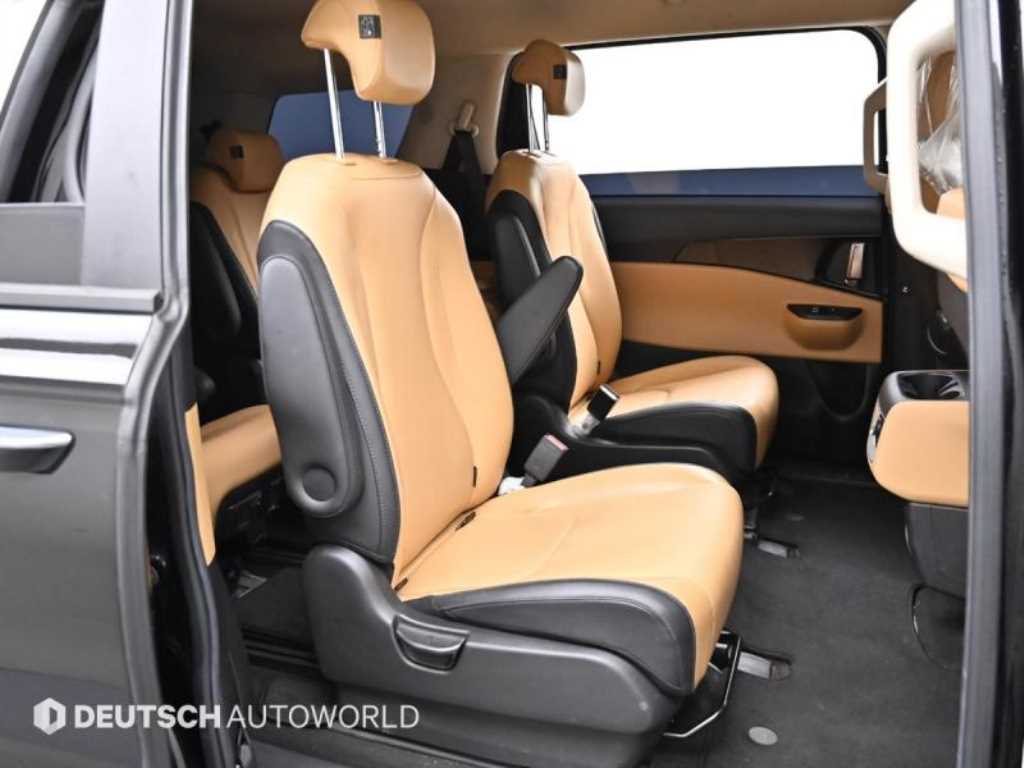 KIA Carnival - Vista 12