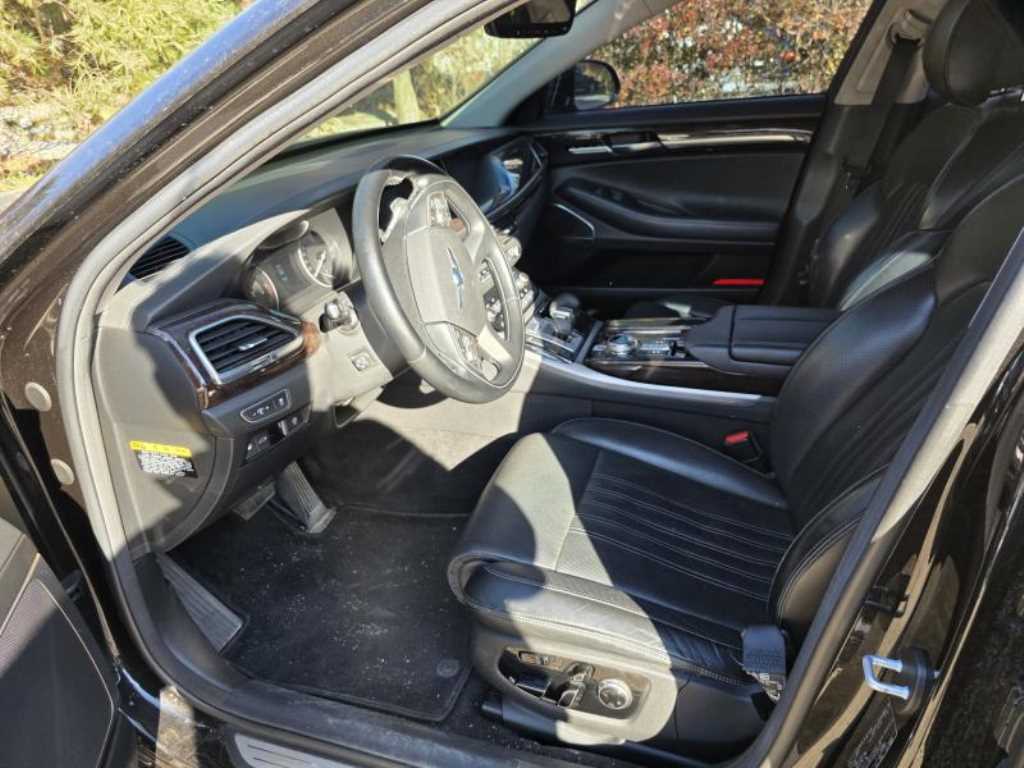 Genesis EQ900 - Vista 10