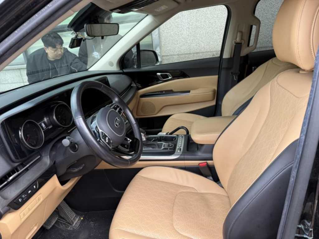 KIA Carnival - Vista 10