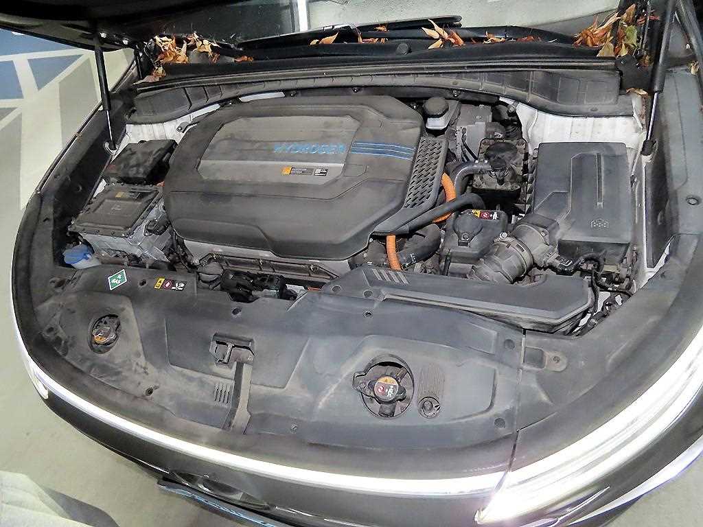 HYUNDAI Nexo 2021 Negro - Importación desde Corea - HF Imports Iquique - Foto 19