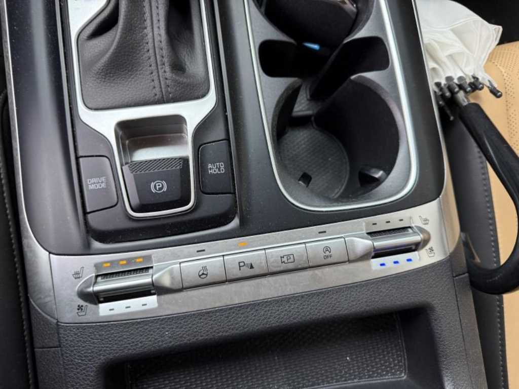 KIA Carnival - Vista 8