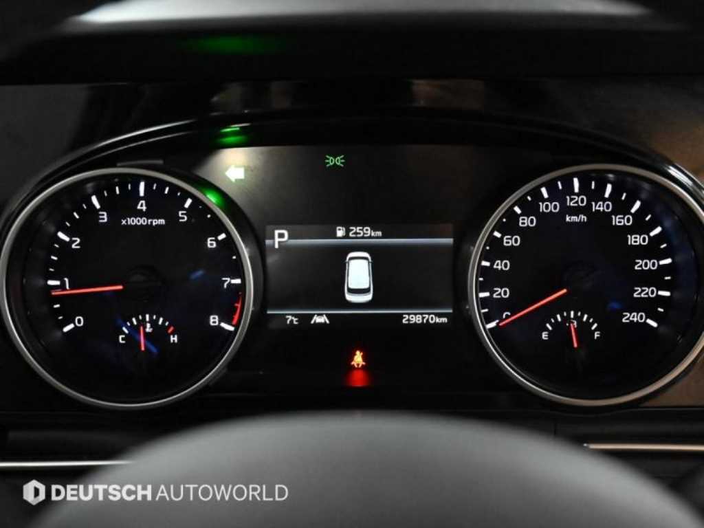 KIA Carnival - Vista 8