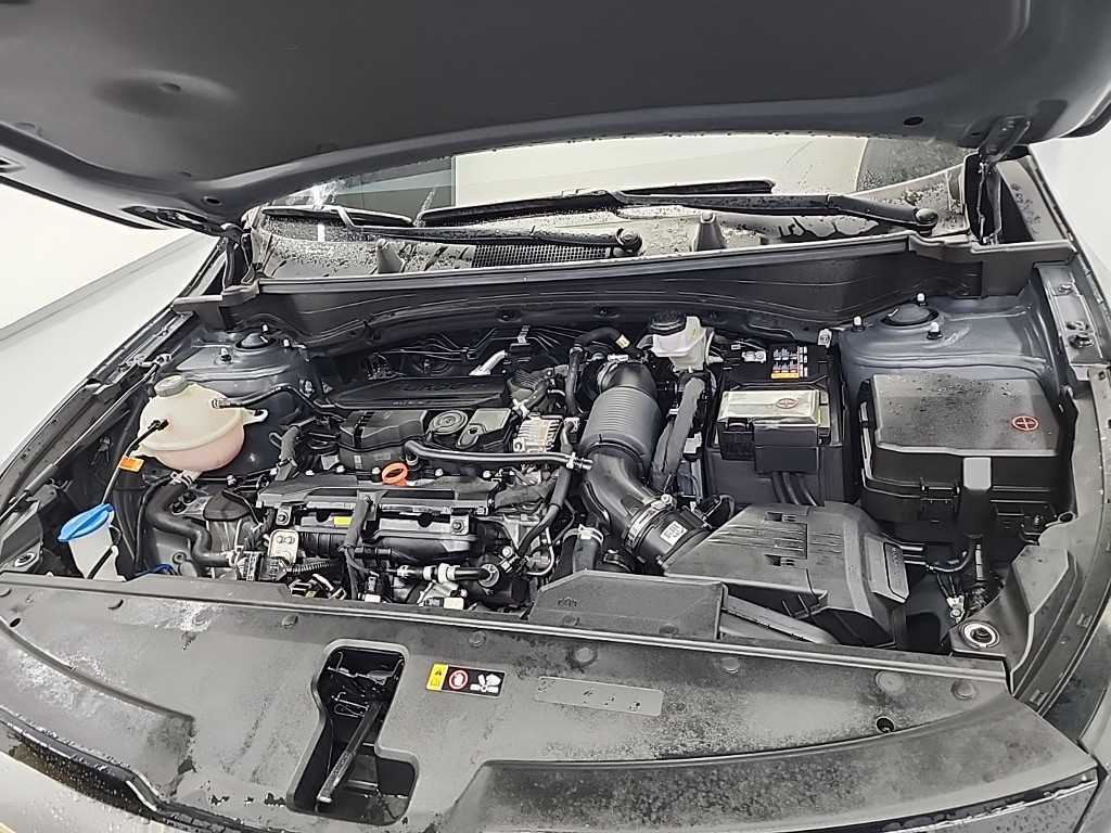 KIA Sportage - Vista 5