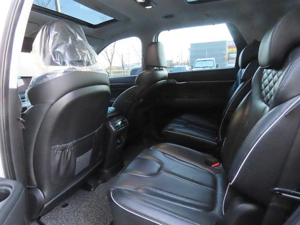 HYUNDAI Palisade - Vista 12