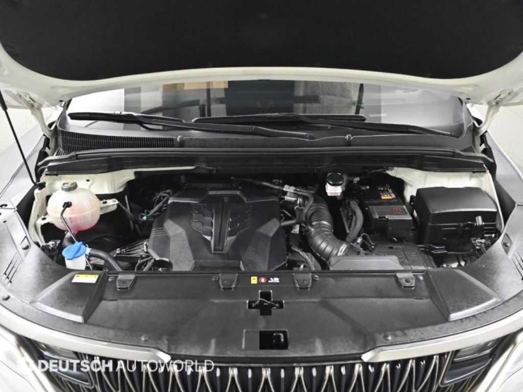 KIA Carnival - Vista 6