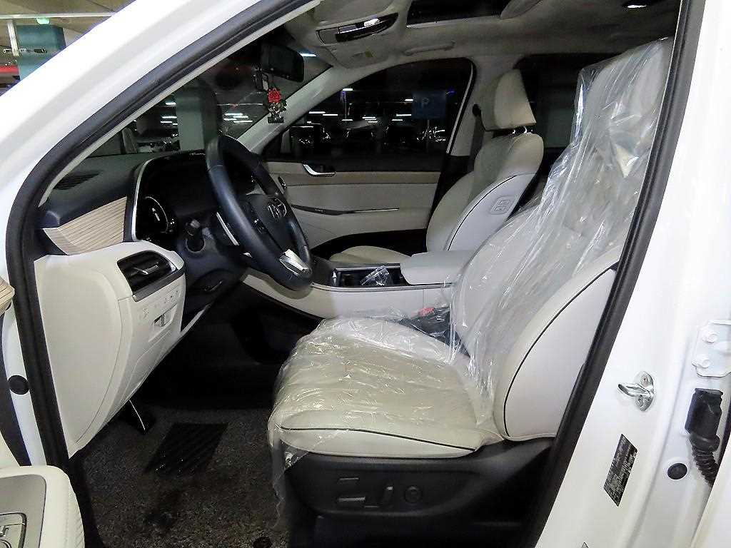 HYUNDAI Palisade - Vista 6