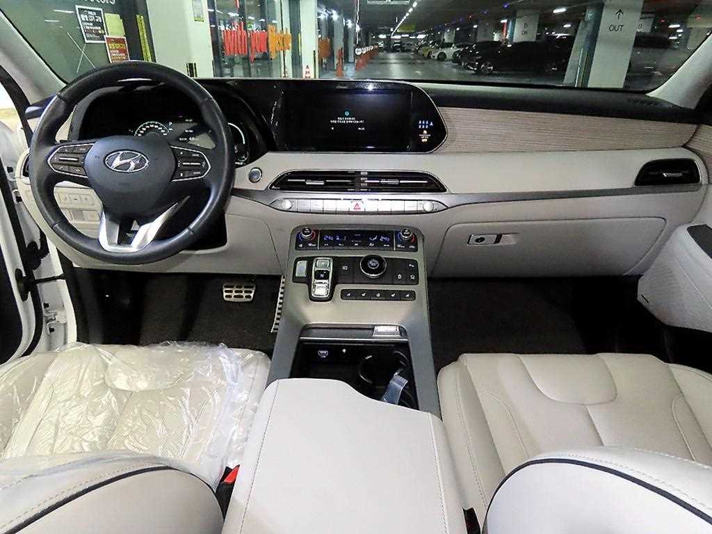 HYUNDAI Palisade - Vista 10