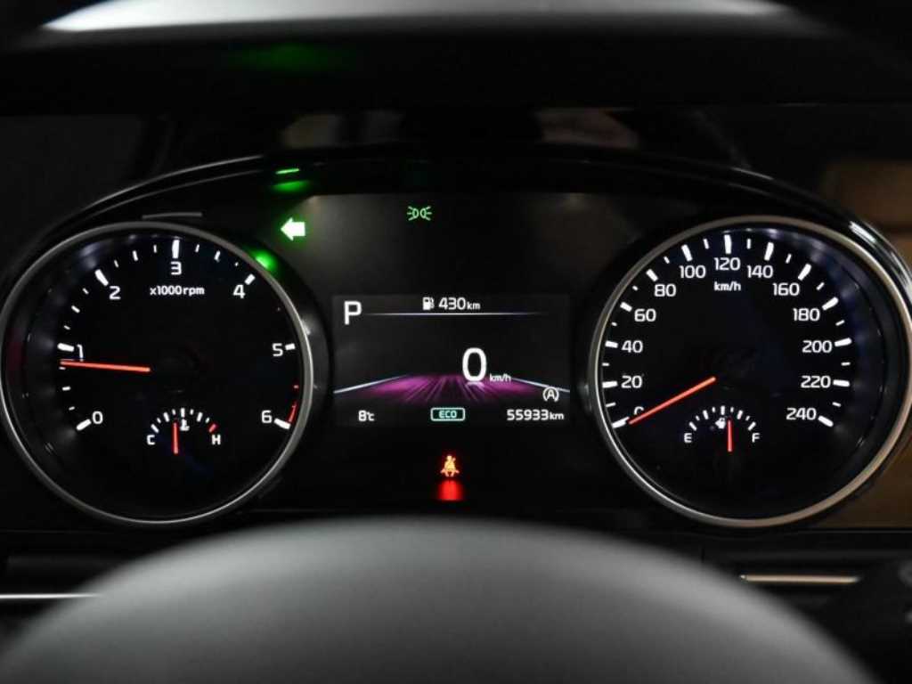 KIA Carnival - Vista 8