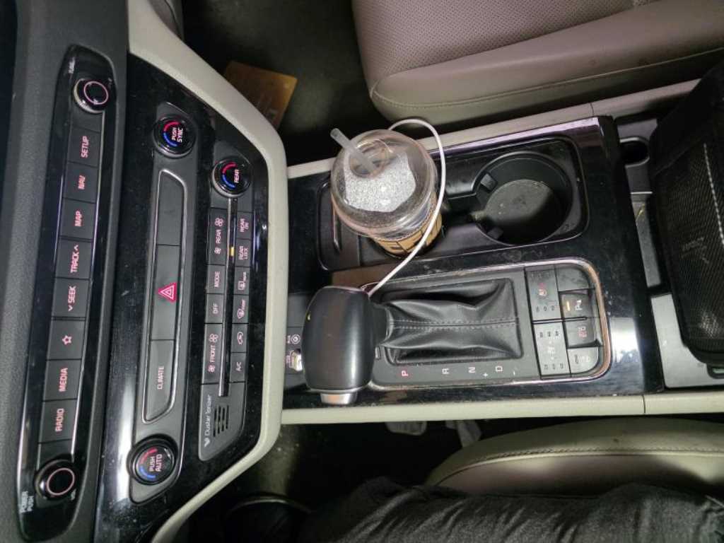 KIA Carnival - Vista 10