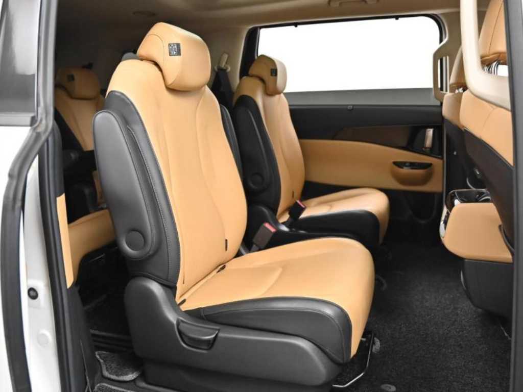 KIA Carnival - Vista 12