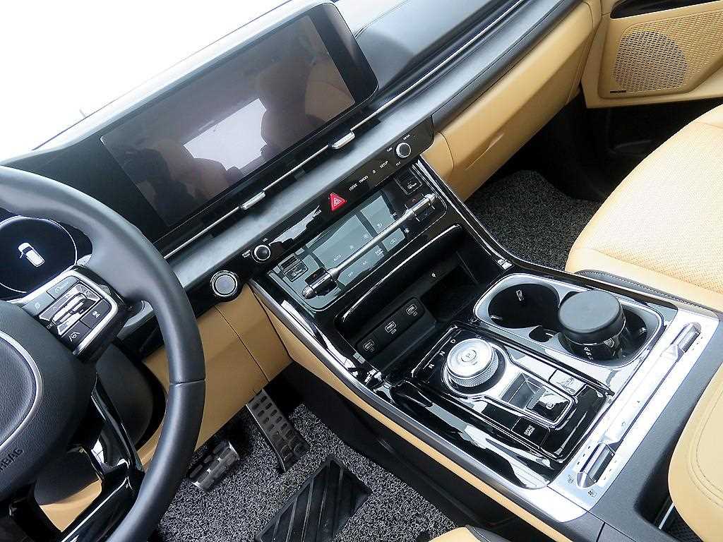 KIA Carnival - Vista 12