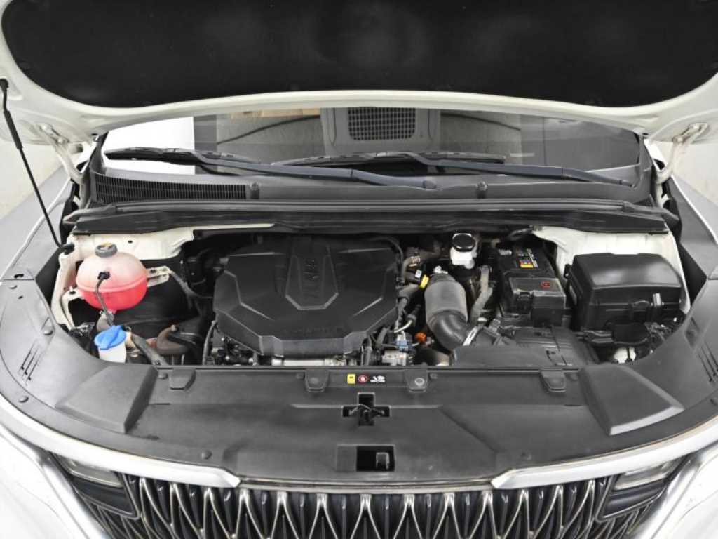 KIA Carnival - Vista 6