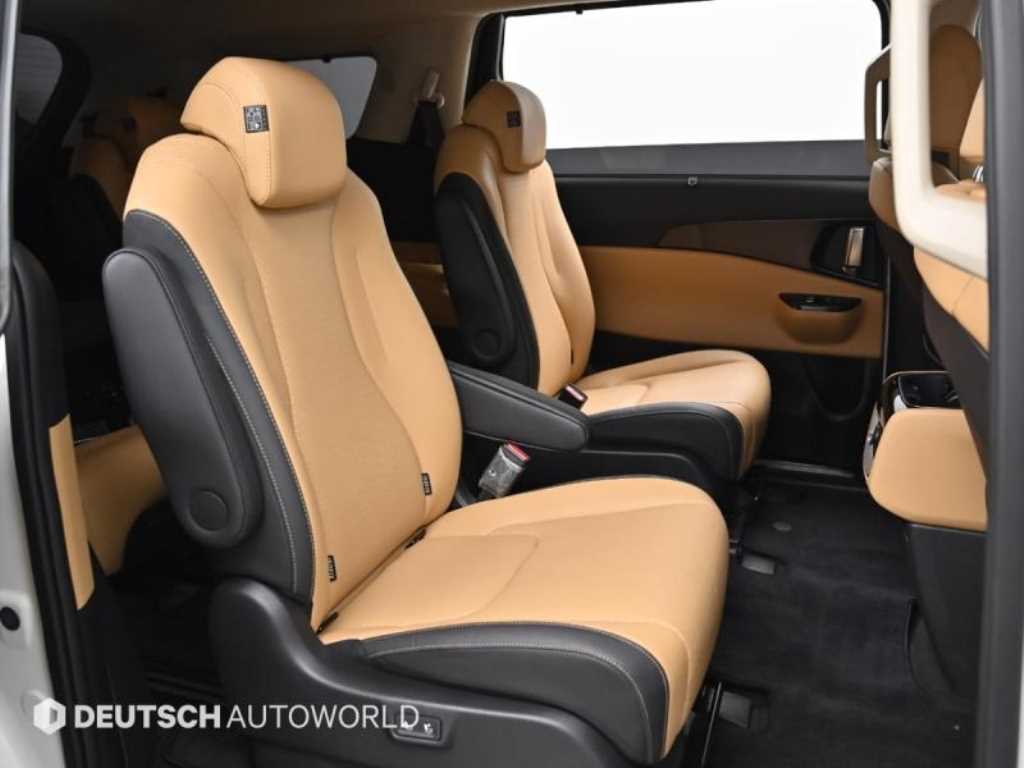 KIA Carnival - Vista 12