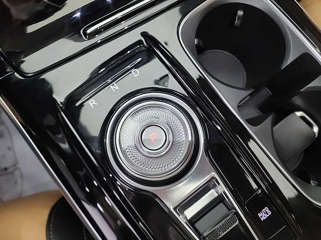 KIA Carnival - Vista 8