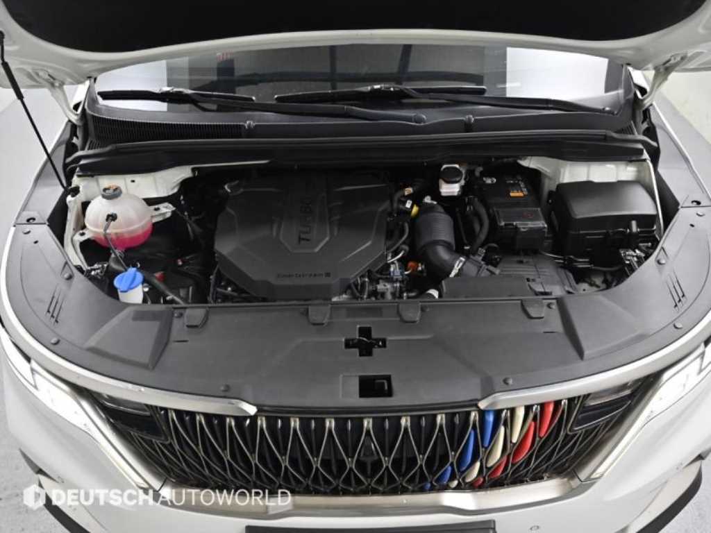 KIA Carnival - Vista 6