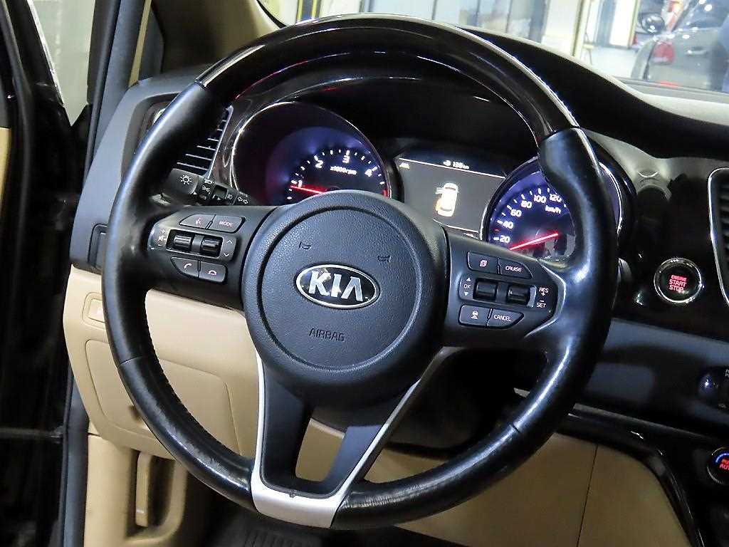 KIA Carnival - Vista 8