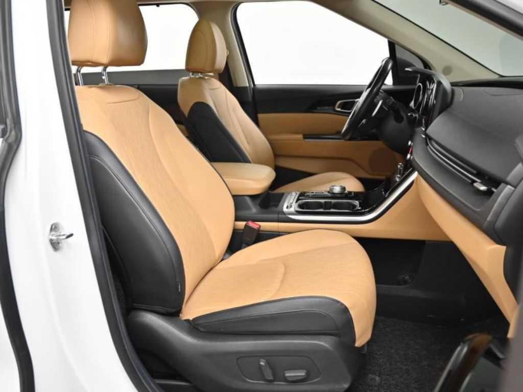 KIA Carnival - Vista 10