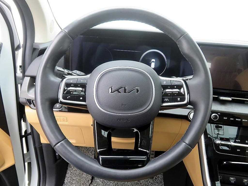 KIA Carnival - Vista 11