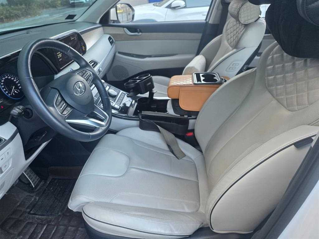 HYUNDAI Palisade - Vista 8