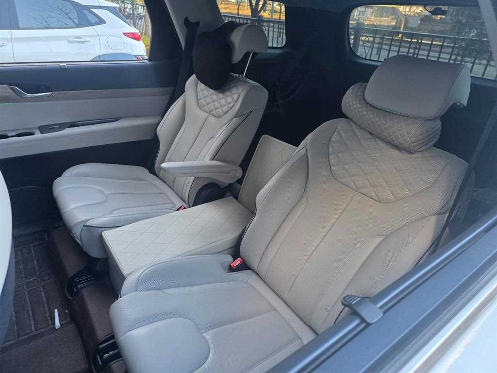 HYUNDAI Palisade - Vista 7