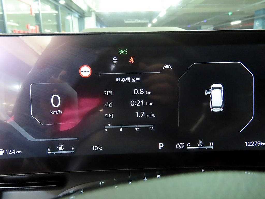 KIA Carnival - Vista 9