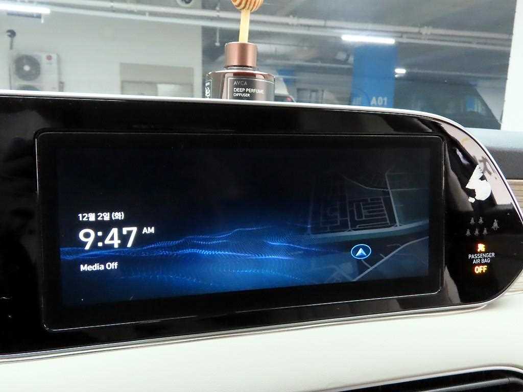 HYUNDAI Palisade - Vista 8