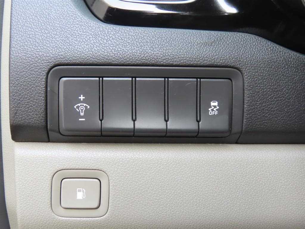 KIA Carnival - Vista 9