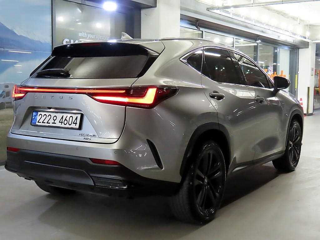 Lexus NX - Vista 4