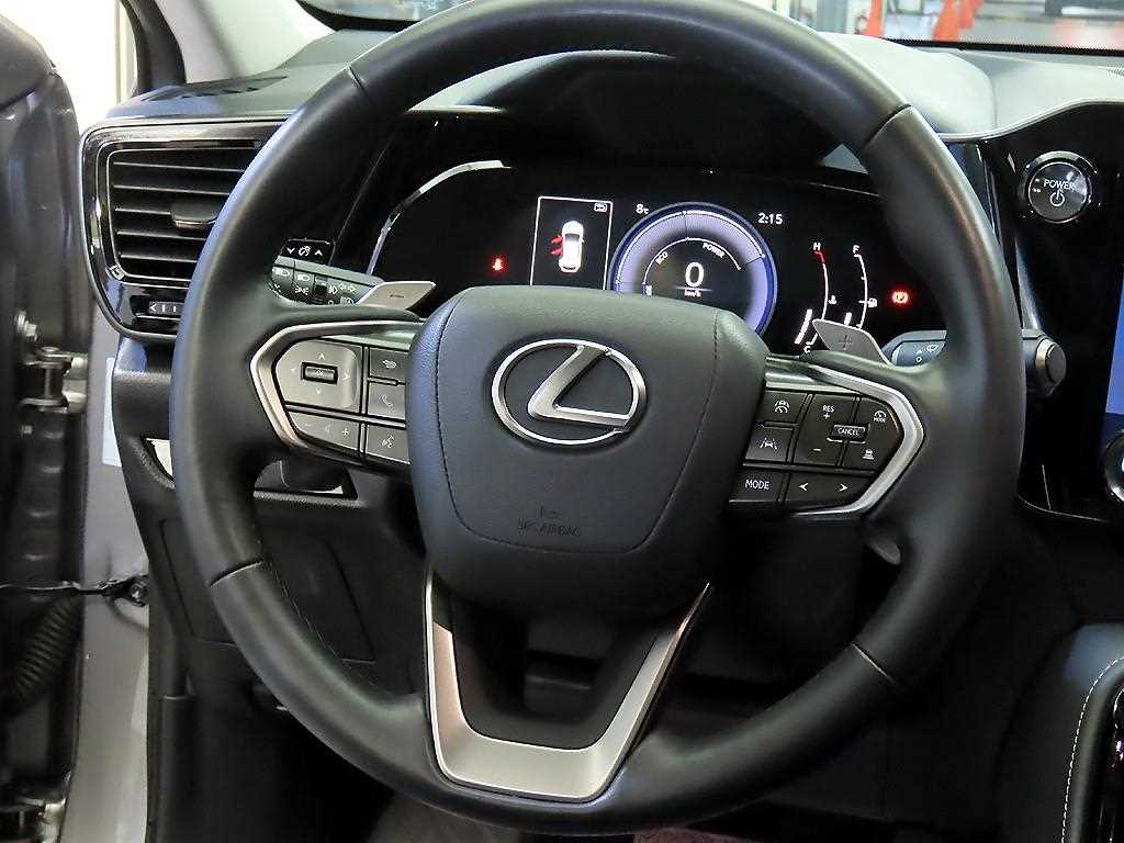 Lexus NX - Vista 8